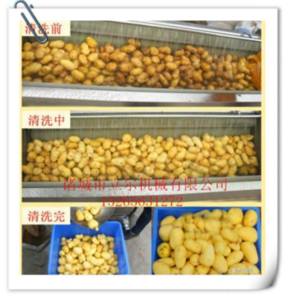 胡蘿卜清洗機(jī)圖片