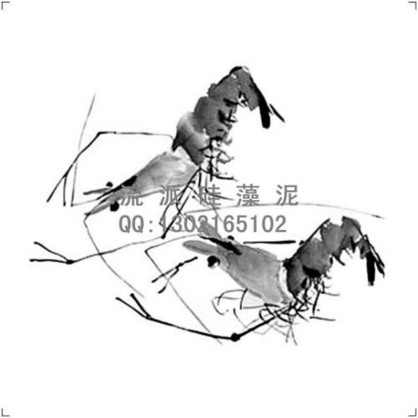 供應(yīng)流派硅藻泥壁紙漆通用手冊(cè)-矢量圖冊(cè)
