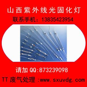 山西TT紫外線光固化燈圖片