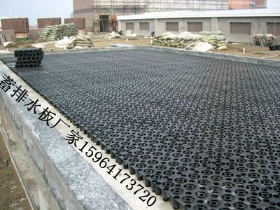 蓄排水板圖片/蓄排水板樣板圖 (4)