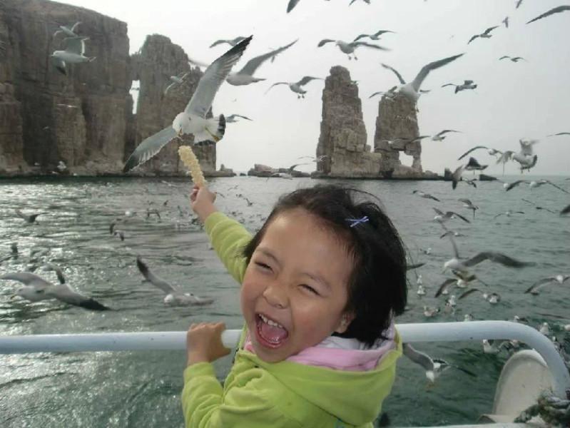 長島景點萬鳥島旅游圖片