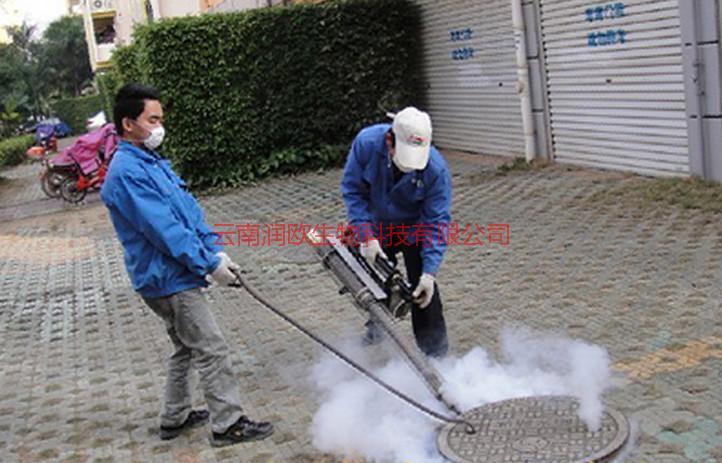 供應(yīng)昆明官渡區(qū)滅蟑螂滅鼠服務(wù)-昆明官渡區(qū)滅蟑螂滅鼠服務(wù)公司-昆明官渡區(qū)滅蟑螂滅鼠服務(wù)電話-昆明官渡區(qū)滅蟑螂滅鼠服務(wù)效果
