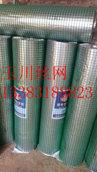 供應涂塑電焊網(wǎng)