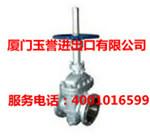 供應(yīng)暗桿彈性座封閘閥 廠家批發(fā) Z45X-16鑄鐵軟密封暗桿閘閥 RVHX-16球墨彈性座封閘閥