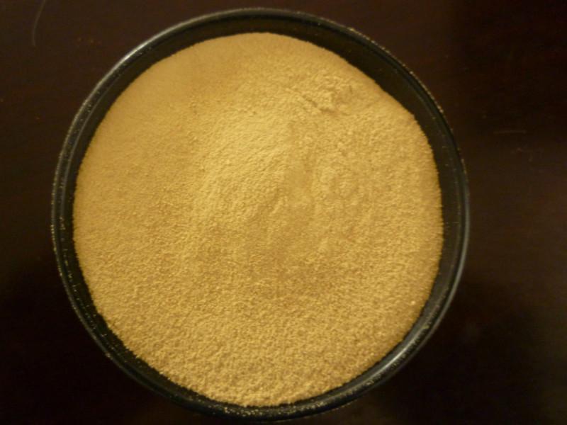 廠家直銷脂肪酶圖片