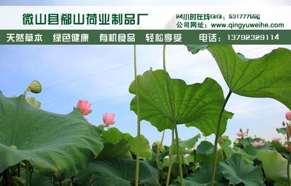 荷葉批發(fā)荷葉價格荷葉做法大全圖片/荷葉批發(fā)荷葉價格荷葉做法大全樣板圖 (4)