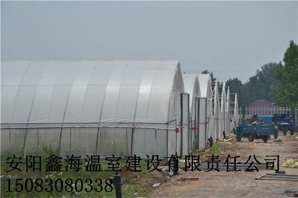 供应连体拱棚专业建造标准 荥阳市蔬菜大棚建造基地