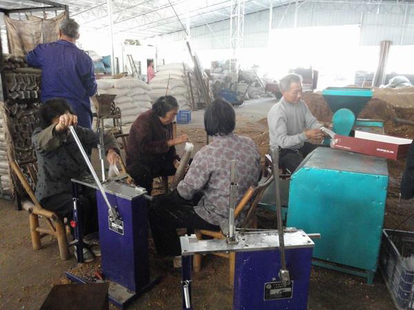 食用菌圖片/食用菌樣板圖 (3)