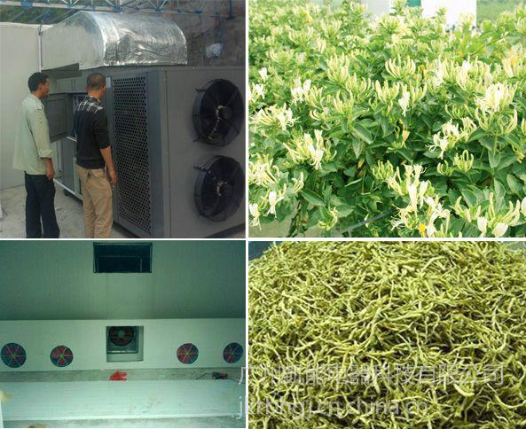 供應(yīng)*的金銀花電烤爐 金銀花烤房