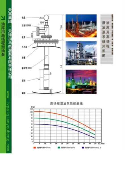 供应绿牌高扬程潜油泵