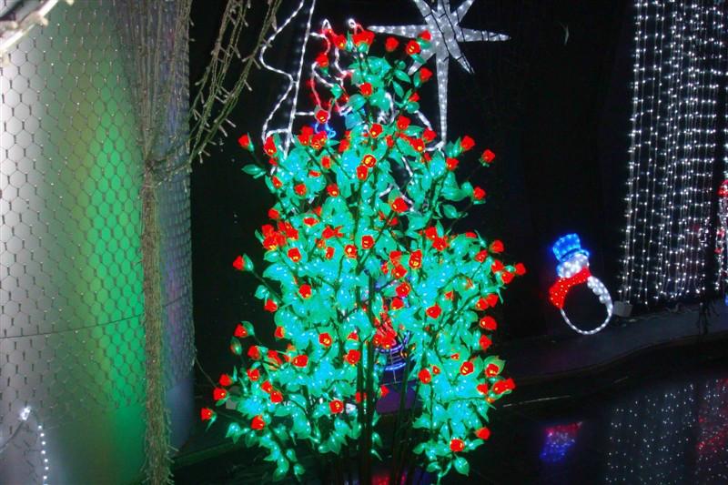 植樹燈LED圖片/植樹燈LED樣板圖 (2)