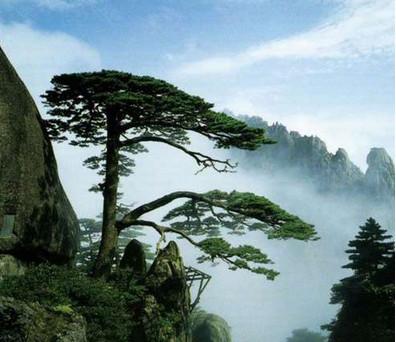 供應(yīng)安徽黃山廣告配音-安徽黃山廣告配音網(wǎng)-安徽黃山廣告配音公司