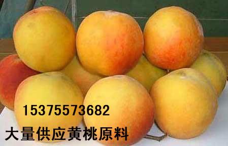 供应黄桃原料2013,黄桃价格，黄桃原料,砀山黄桃