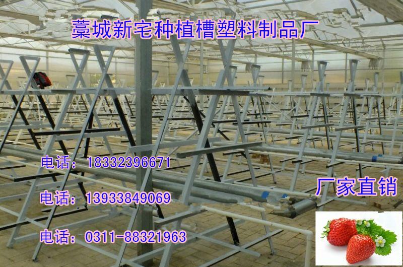 草莓立體種植槽圖片/草莓立體種植槽樣板圖 (3)
