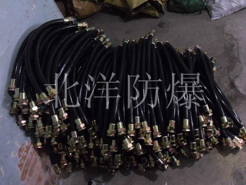 防爆撓性連接管圖片
