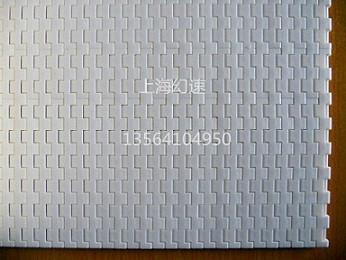 10節(jié)距塑料網(wǎng)帶圖片