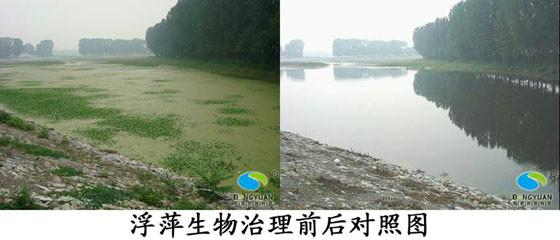 供應(yīng)如何有效的預(yù)防和治理景觀水應(yīng)