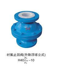 襯氟止回閥圖片