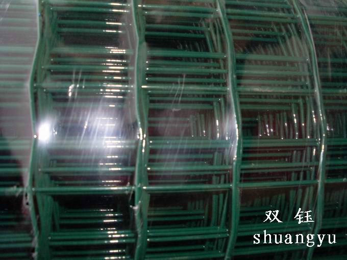 湖北荷蘭網圖片