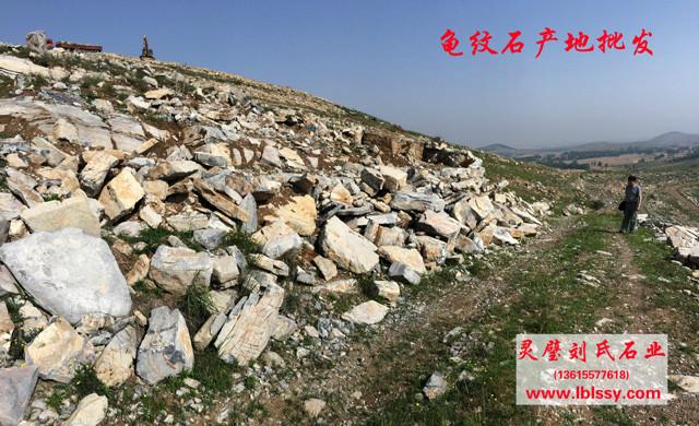 供應(yīng)用于盆景假山|魚池假山用盆景石龜紋石_盆景千層石 小龜紋石、盆景龜紋石、龜紋石假山