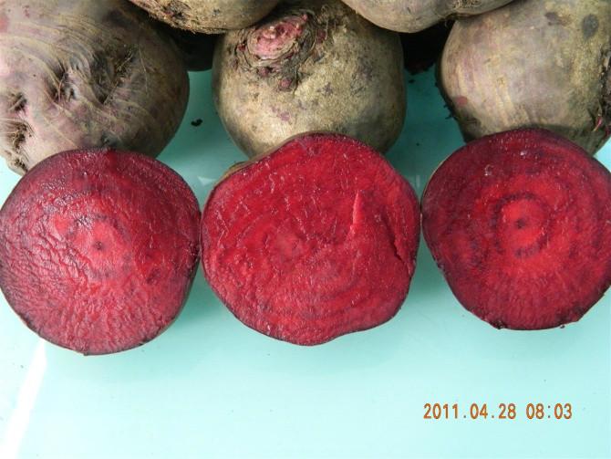 供應(yīng)東北心里美蘿卜批發(fā)商