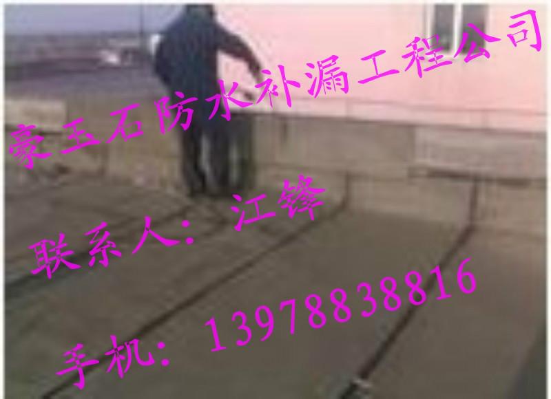 供應(yīng)廣西南寧*的衛(wèi)生間防水堵漏公司