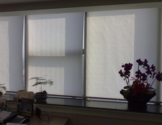 供應(yīng)陽(yáng)光面料遮光卷簾